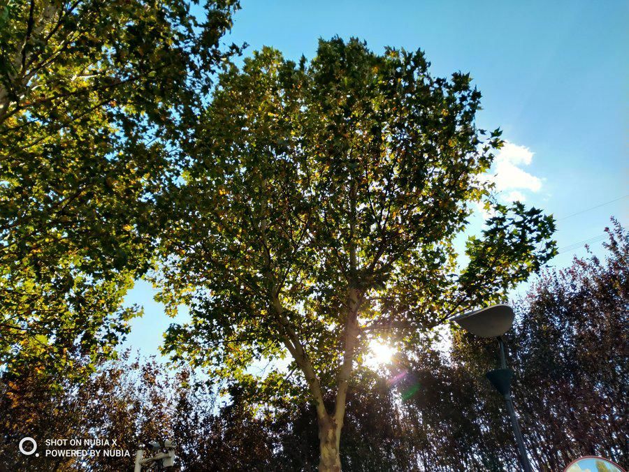 努比亚|实现全面屏的另一个方向 努比亚X全面评测