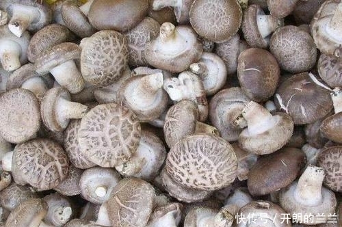 癌細(xì)胞最怕的“3種堿性食物”,好吃不貴拒絕癌細(xì)胞來(lái)襲!