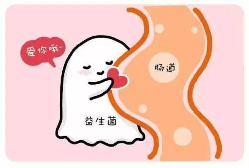 益生菌|宝宝吃益生菌有什么好处饭前吃还是饭后吃一次告诉你