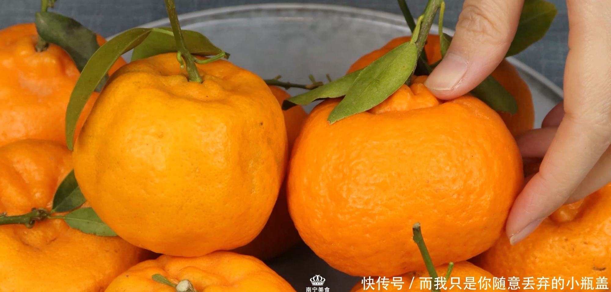 买丑橘要挑“母”的才好吃,教你5个挑选方法,学会后一挑一个准