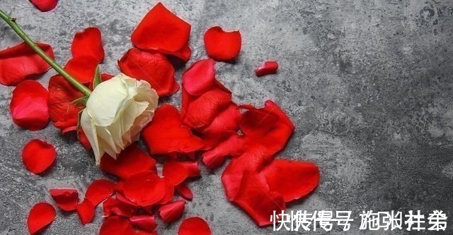 陌上花开@20个最流行的古诗句,美到了灵魂深处,终于知道出处了