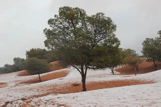 小镇|撒哈拉沙漠下雪了！