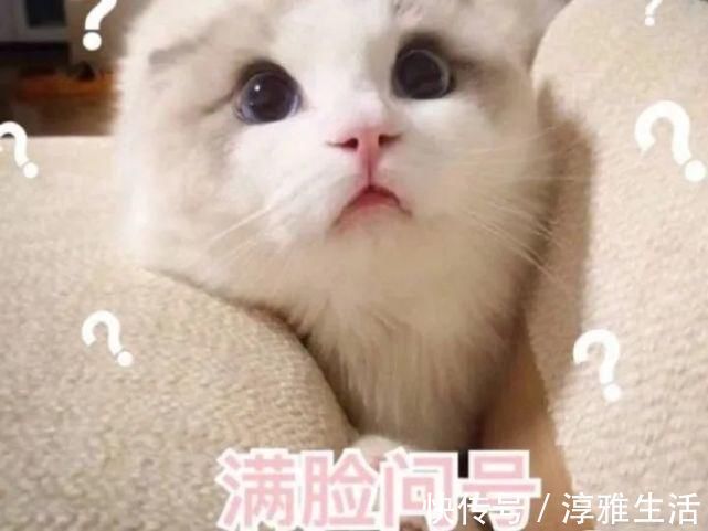 煎饺|恶心别人吃过的饺子拿来二次销售，饺子上还有咬痕