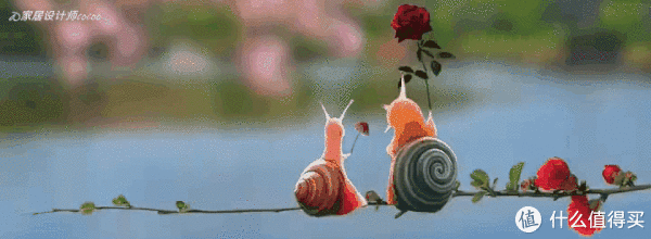 收纳|我妈第一次来我家，直接惊呆，吐槽：原来你的钱都是这样花光的