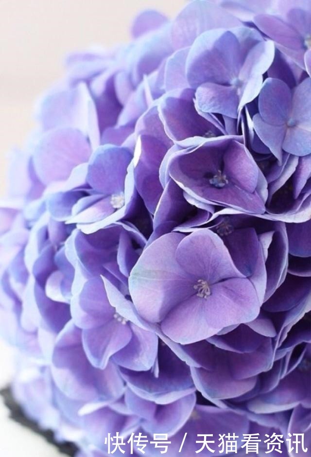  经典语录|激励人心的经典语录，句句有内涵，读读受益匪浅