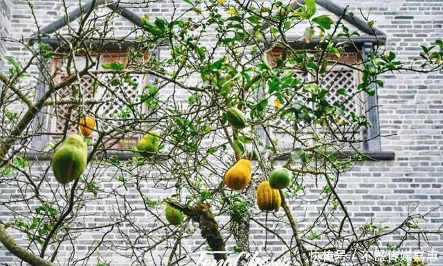 超全|和顺古镇怎么逛?送上超全指南!走访那些记录历史的文化景点~