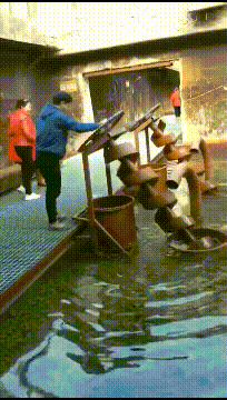 |搞笑GIF:老婆总问我去健身房干什么,我该怎么回答啊