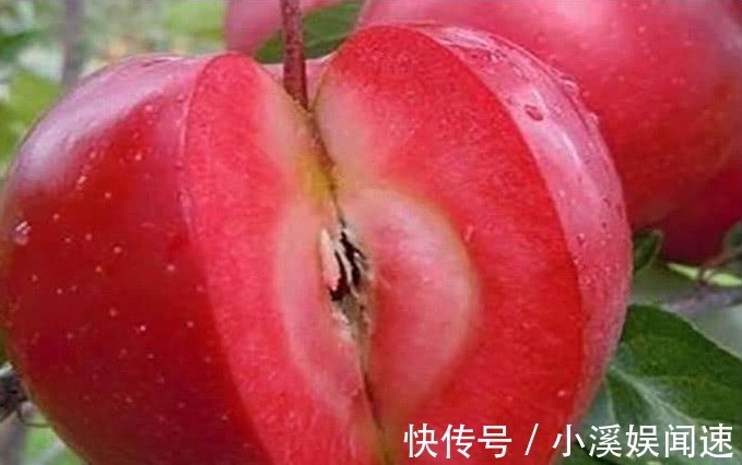 赘肉|女生肚子上有赘肉早上“空腹”吃几个，肠胃更干净，减掉大象腿