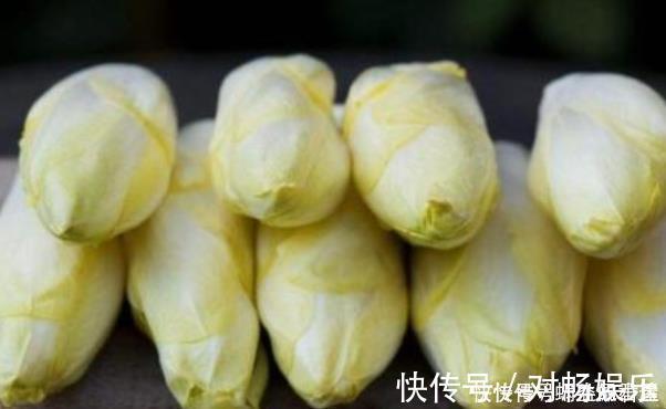 有种废根别丢,养在盆里一星期,其价值堪比鸡蛋的三倍