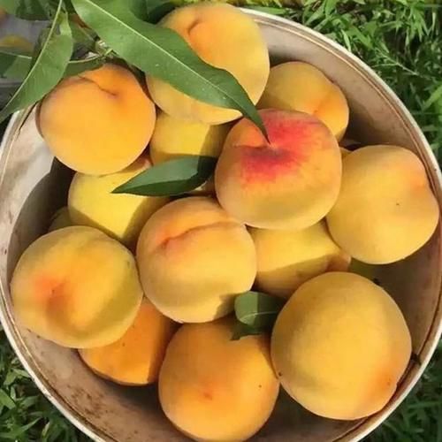 食物|40岁女性多吃三种食物，补充营养，延缓衰老，好吃又不贵