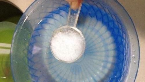  听听|给长寿花促花用磷酸二氢钾，灌根还是喷叶？听听专家怎么说！