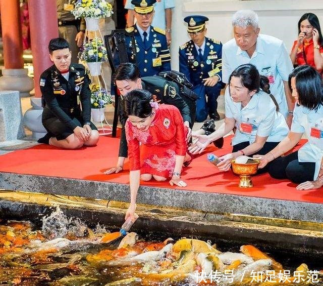 地上|诗妮娜亮相中泰文化展览!跪地上喂锦鲤一堆人伺候,穿旗袍美绝了