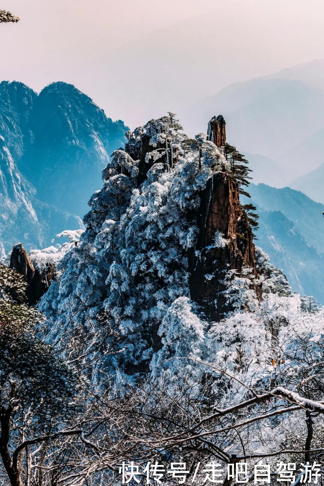 老年|这些公园，又仙又美，秒杀国内众多景点，很多人喜欢一去再去