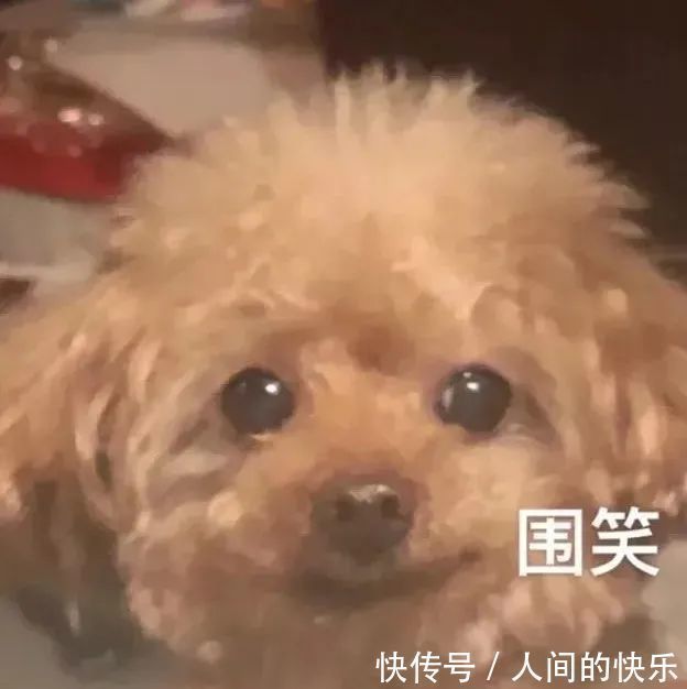 |搞笑沙雕表情包:斗图没有这些 缺少一半的乐趣