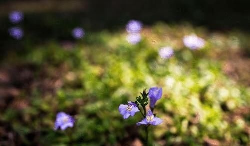 时辰|出生在几点钟的孩子，个个天资聪颖，旺父旺母，十分懂事又孝顺