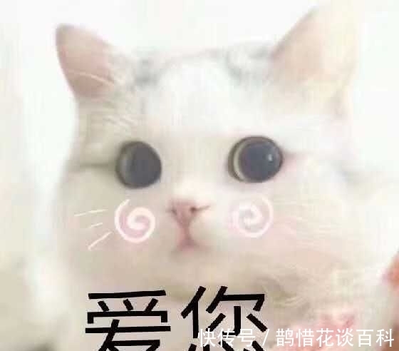 |幽默段子:国庆去表弟家,他三岁的儿子特闹腾谁都哄不住。