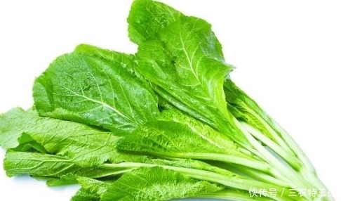 高蛋白|农村常见的野菜,被称为“牧羊人的钱包”富含高蛋白,常吃身体好