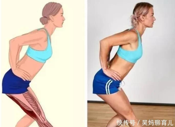 腘绳肌|全身拉筋3D图解,一步到位,在家也能强身健体