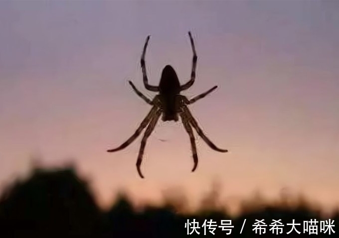 四喜#“宅子现四喜,家中出能人”是什么意思?这四喜指的是什么?