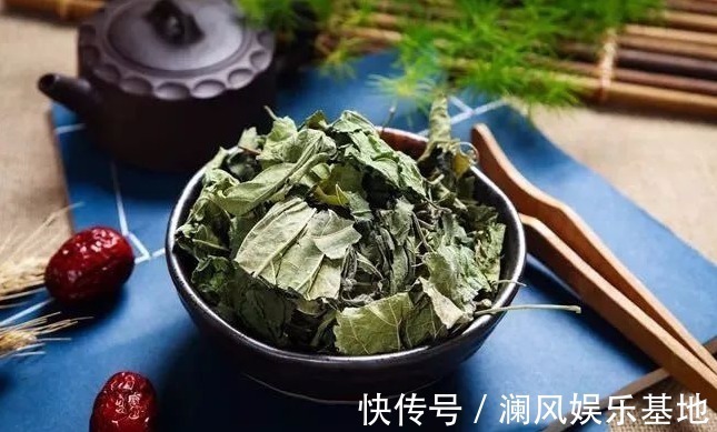 盗汗|1片桑叶9味良药!老中医教你桑叶妙用,9大功效受用一生!