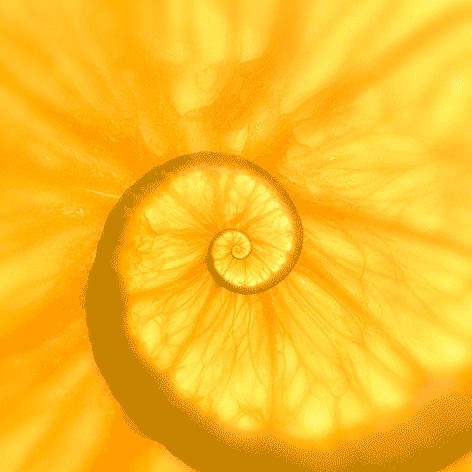 |搞笑GIF: 真相往往在后面 亲眼看到得不一定是真的