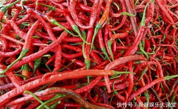买红辣椒做豆瓣酱,掌握这几点,买到最好的辣椒,做出纯正豆瓣酱!