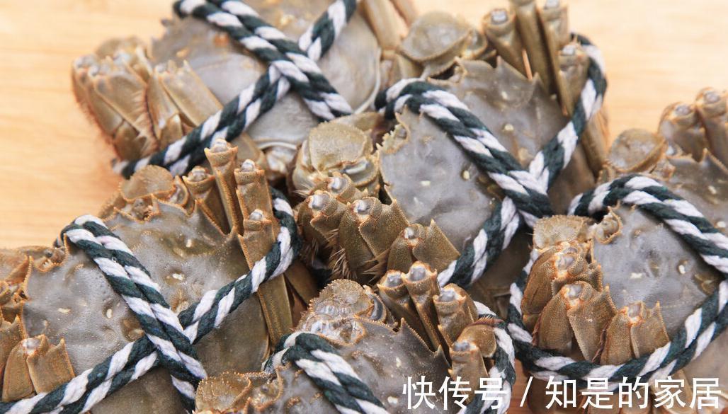 渔民|入秋买梭子蟹：个头大未必好，老渔民教你绝招，个个“顶盖肥”
