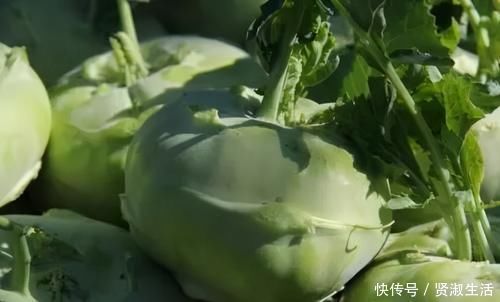 滋补|人到中年想长寿,推荐常吃3种食物,滋补身体,好吃又健康!