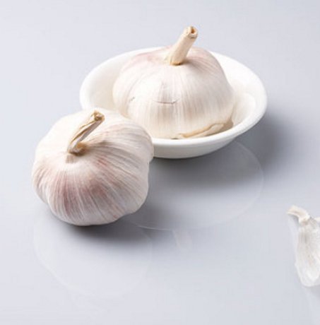 有利于肠胃健康的食物