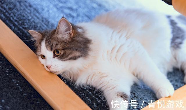 宝妈|“等闲下来我就减肥”说这话的男男女女们,你们都瘦下来了吗?