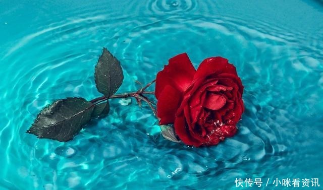 真正的有缘人,是分不开的