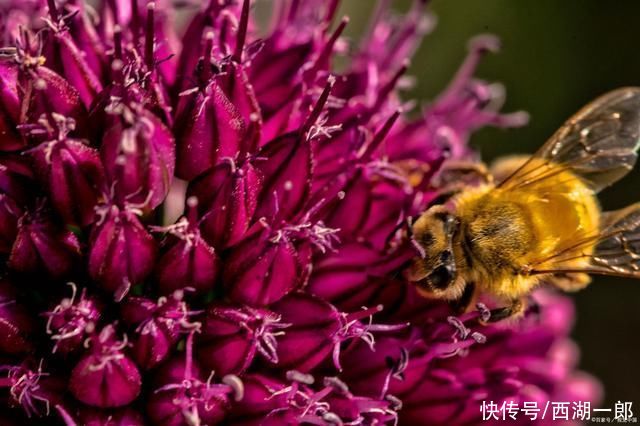 肌肤|夏天女性养生可吃的食物,疏通血管肌肤好,蜜拓蜜保养生活分享。