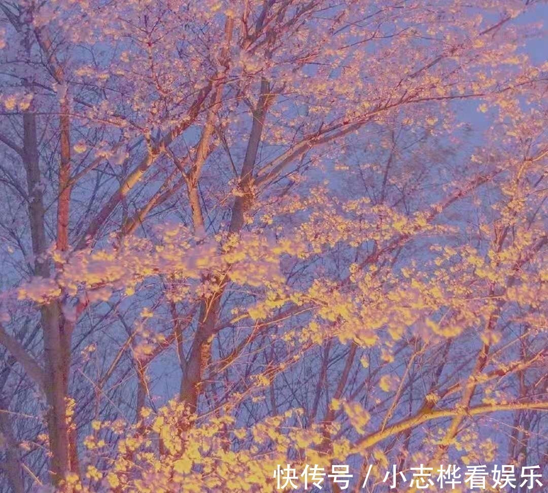 人生@“十宗罪”极致语录:最有哲理的28句话,句句精辟,写尽人生!