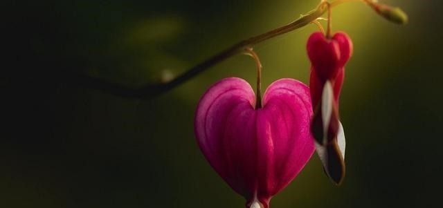 良能|《剑来》:加上陈平安和宁姚,阿良能实现反杀吗?