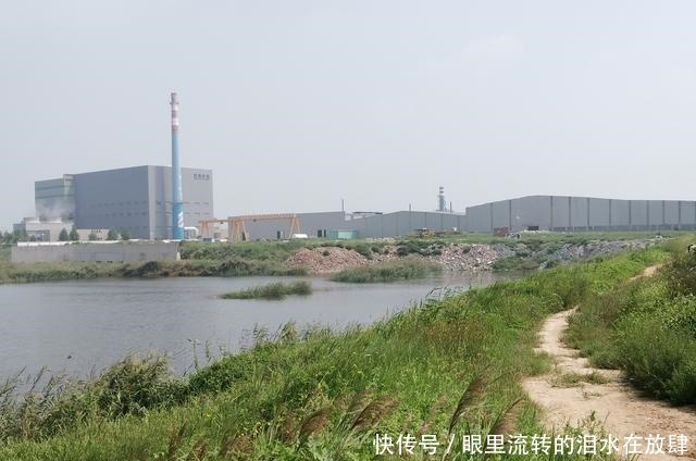 垂钓|钓鱼只是玩玩,错!河沟里的鲫鱼、鲤鱼也能钓干净!