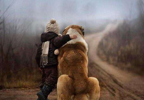 特征|高智商的孩子,一生下来就有这4个特征,连父母也跟着增“福气”