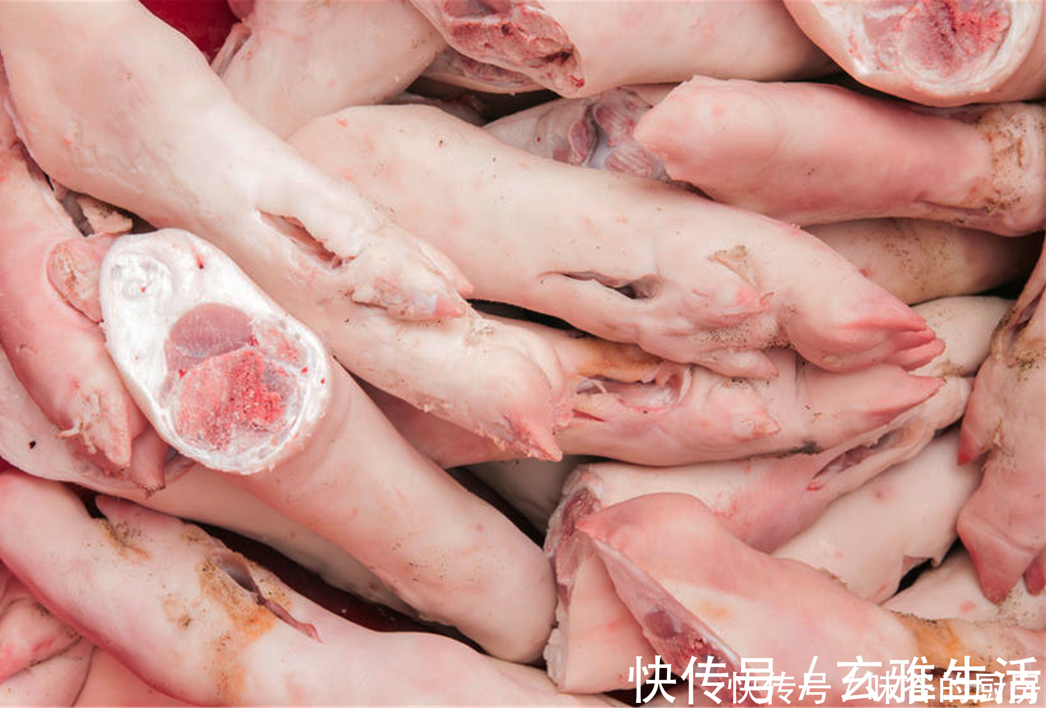 买猪蹄，要前蹄还是后蹄？两者区别大，买错了肉少骨头多，不划算