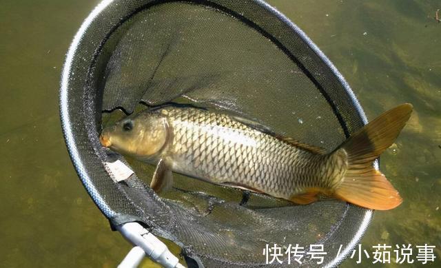 这几种钓鱼方式被禁止，钓友们要牢记，千万别犯错！