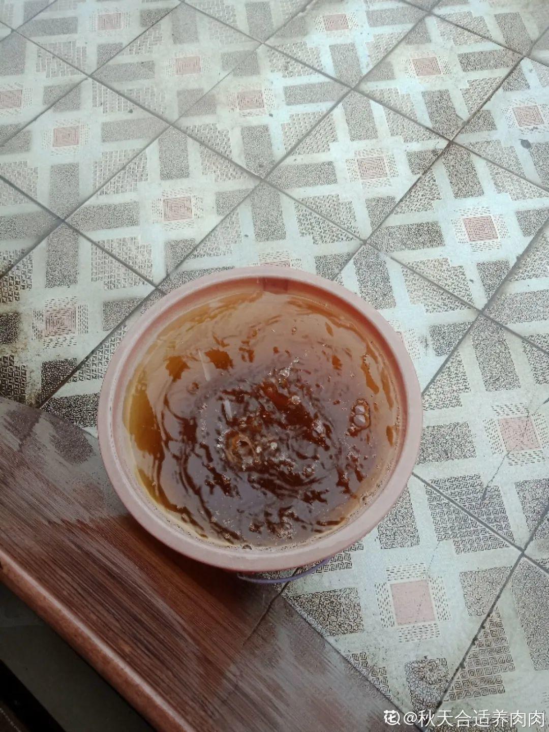 9种花真是老酒鬼，5天一小杯，叶子绿得像打蜡！