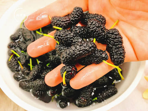 自动|58岁果农说:洗桑葚时,放盐只对了一半,加点它,虫卵自动跑出来