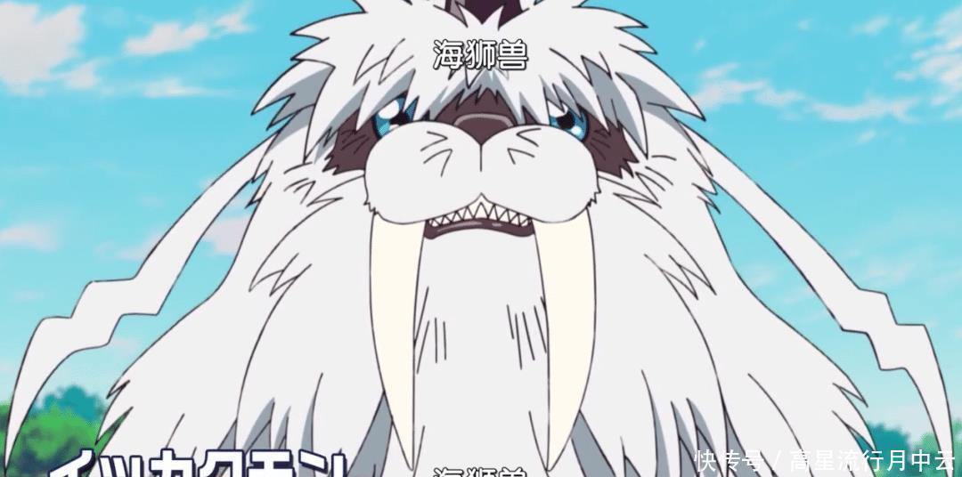 数码兽|新数码宝贝可爱的哥玛兽登场,阿丈拒绝帮助太一!