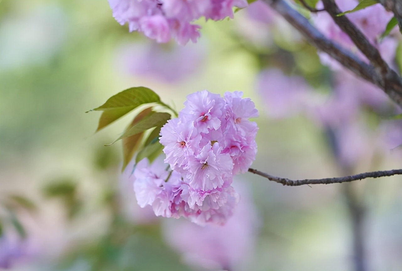 闭口禅!能在这几种特殊情况下保持沉默的人,往往层次很高,很不简单