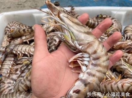 营养|秋冬季,这4种海鲜多给家人吃,好吃不贵,营养充足