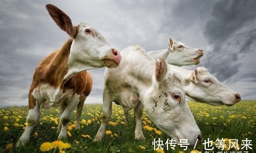 35个冷知识：教科书上不会出现，但却真实存在于世界各地