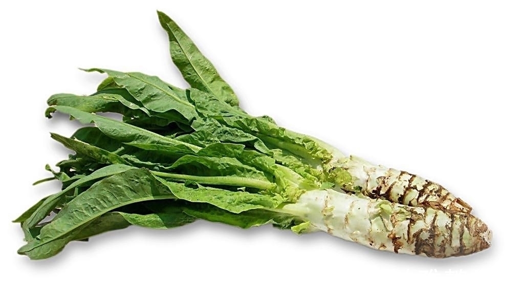 发育|家长担心孩子长不高?多吃此菜,促进骨骼发育,快快乐乐长高