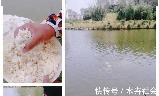 五种野钓大鱼的神饵，都藏在你家的厨房，老钓鱼人都在偷偷用