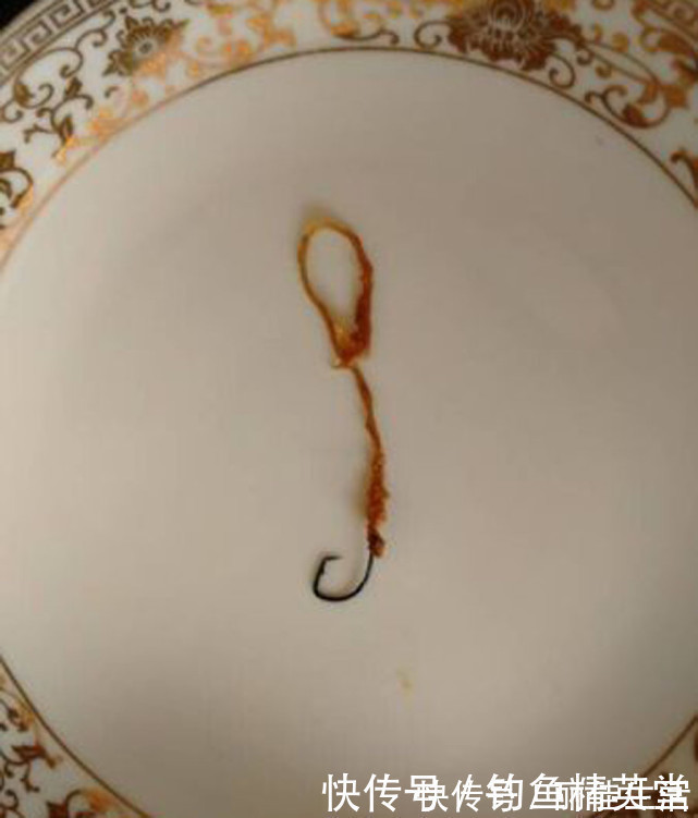 带鱼|吃钓鱼人钓的鱼要千万小心这是为什么呢
