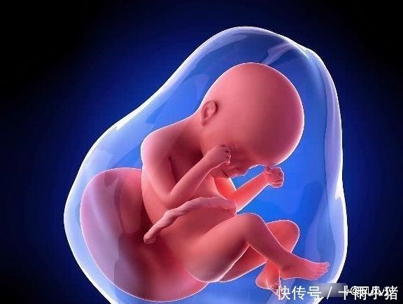 激素分泌|为什么“胎停”越来越多了?或许和这3个原因有关,孕妈该了解