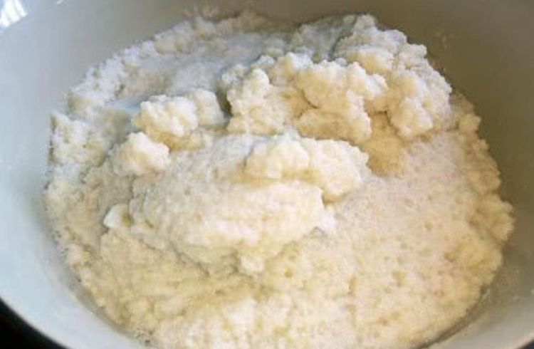 大爷|大爷养花20年,只用3种生活“垃圾”养花,不烂根黄叶,养啥都旺