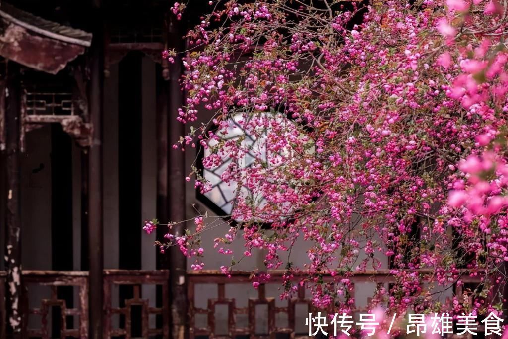 梅花|晏殊的曾孙另辟蹊径,写下一首咏梅禅诗,短短56字令人叫绝